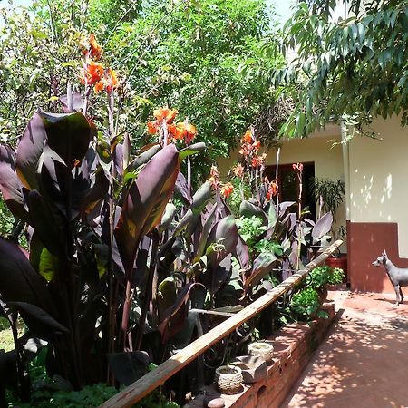 Kukuli Lodge B&B クスコ エクステリア 写真