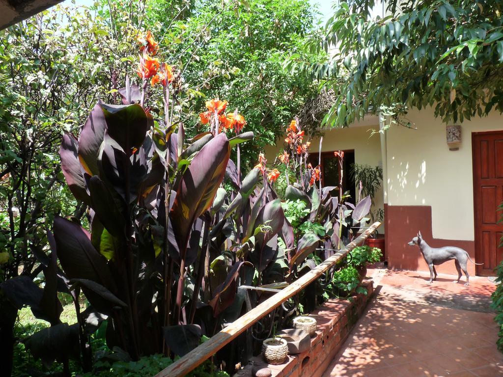 Kukuli Lodge B&B クスコ エクステリア 写真