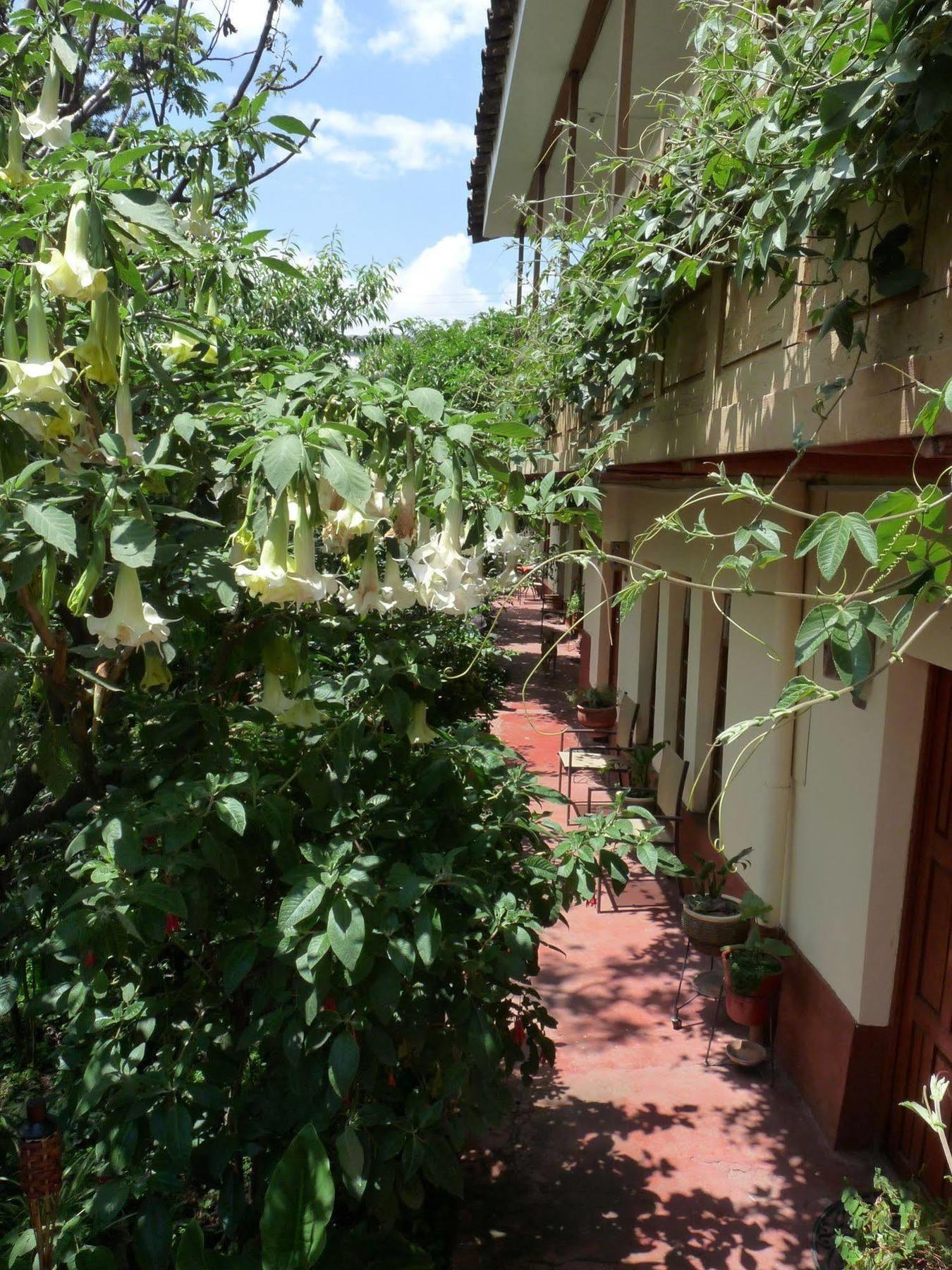 Kukuli Lodge B&B クスコ エクステリア 写真