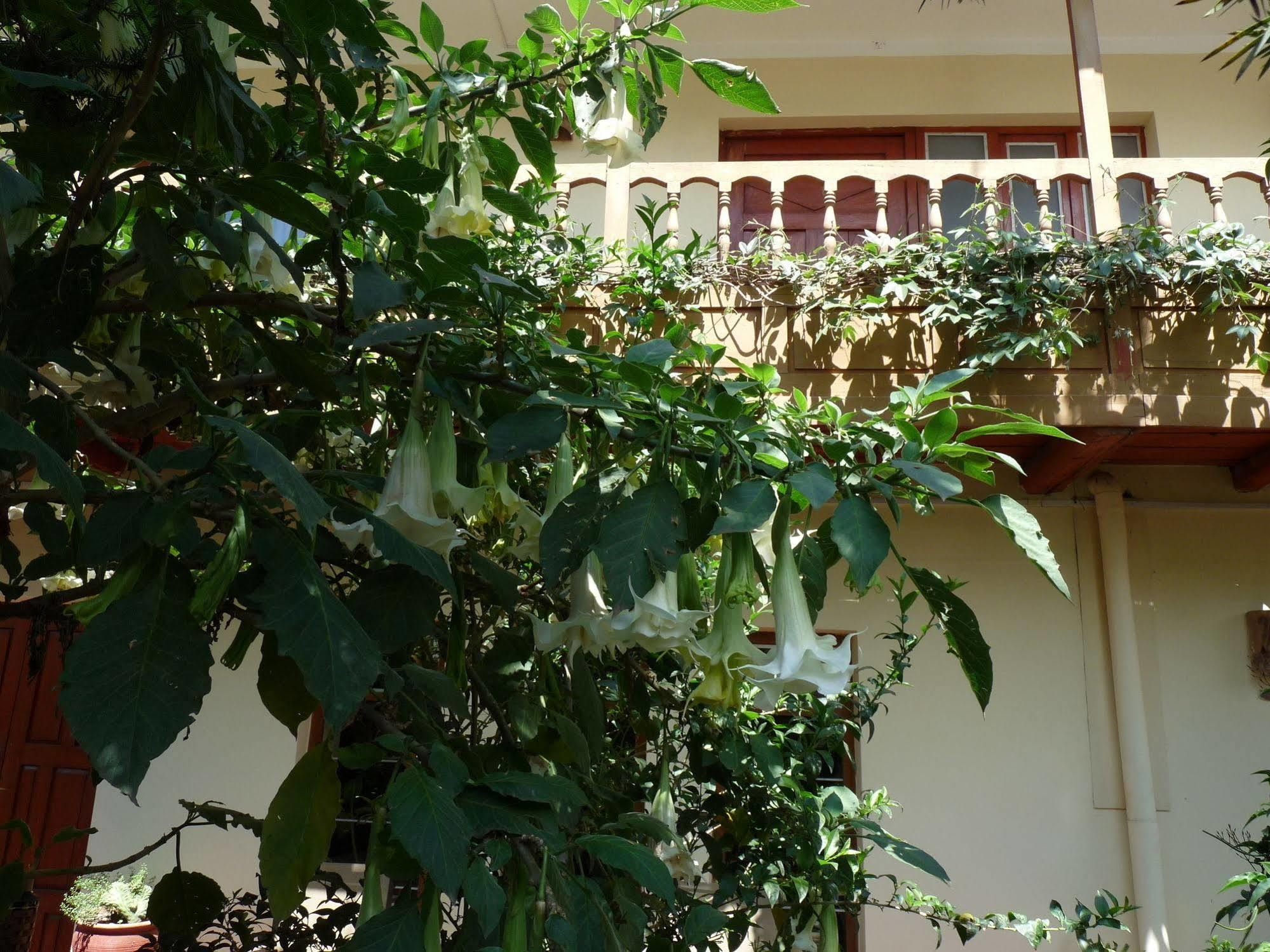 Kukuli Lodge B&B クスコ エクステリア 写真