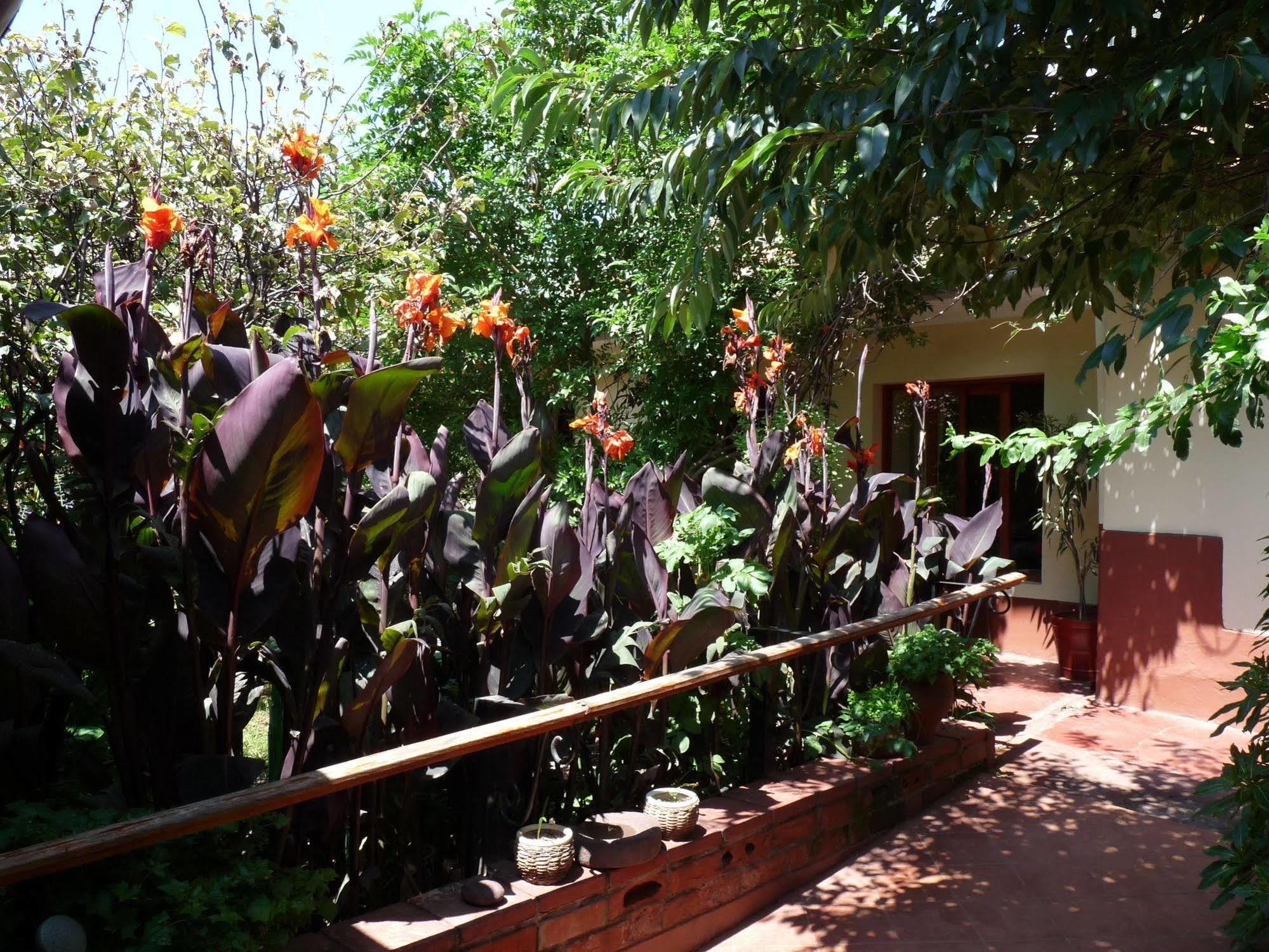 Kukuli Lodge B&B クスコ エクステリア 写真